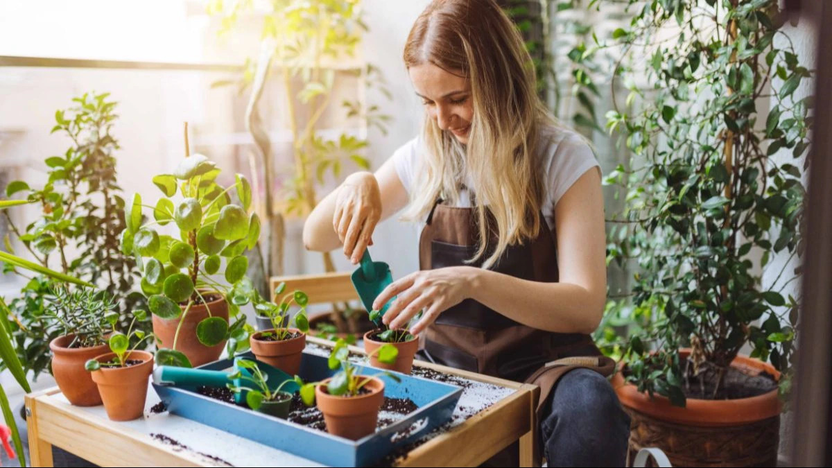 Why you should consider taking up gardening as a hobby