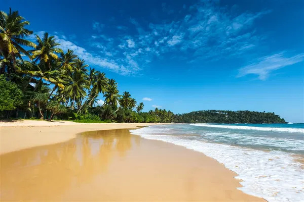 5 Reasons Why You Need a Beach Holiday