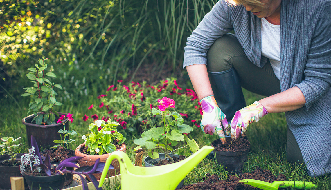 Health Benefits Of Gardening