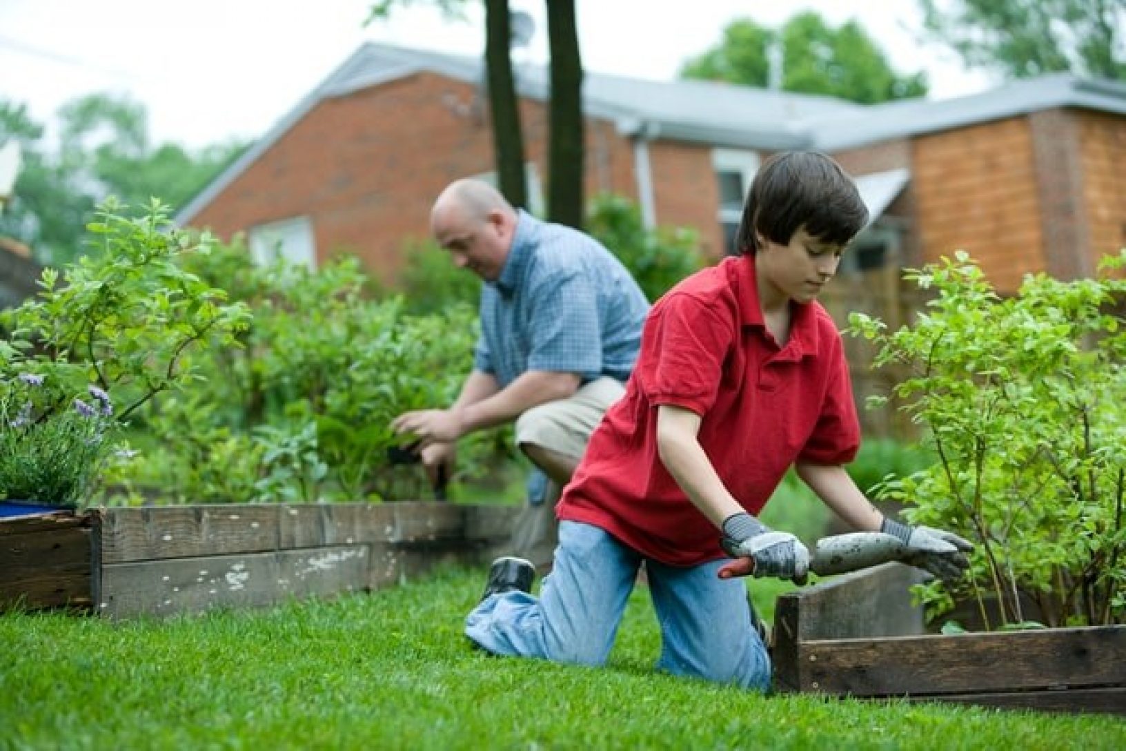 Getting help with your garden